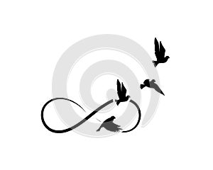 Flying birds silhouettes and symbol of infinity isolated on white background, vector. Minimalist art design, artwork