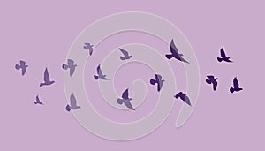 Flying birds silhouettes on white background. Vector illustration. isolated bird flying. tattoo design