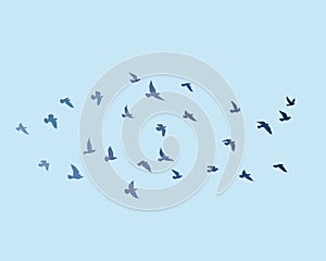 Flying birds silhouettes on white background. Vector illustration. isolated bird flying. tattoo design