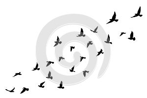 Flying birds silhouettes on white background. Vector illustration. isolated bird flying. tattoo design