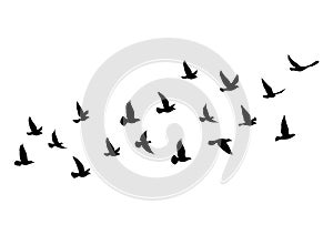 Flying birds silhouettes on white background. Vector illustration. isolated bird flying. tattoo design