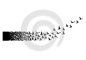 Flying birds silhouettes on white background. Vector illustration. isolated bird flying. tattoo design