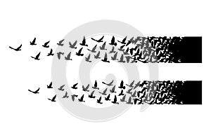 Flying birds silhouettes on white background. Vector illustration. isolated bird flying. tattoo design