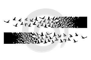 Flying birds silhouettes on white background. Vector illustration. isolated bird flying. tattoo design