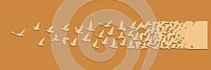 Flying birds silhouettes on white background. Vector illustration. isolated bird flying. tattoo design