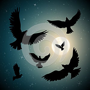 Flying birds in sky on moonlit night