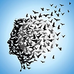 Flying birds to human head