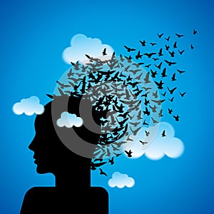 Flying birds to human head