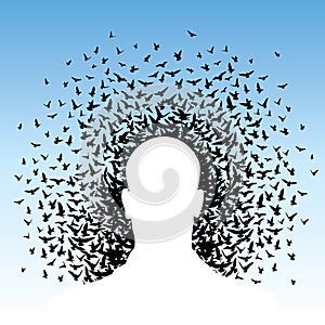 Flying birds to human head