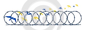 Flying birds in Ukrainian blue and yellow flag colors escaping barbed wire fence. Freedom concept. Hand drawn vector illustration photo
