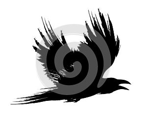 Flying black raven, crow brush painted vector illustration