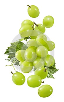 Flying bunch of grapes isolated on white background. Green berries falling