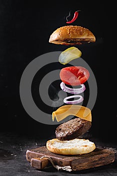 Flying burger