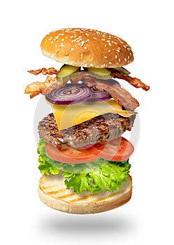 Flying burger on a white background