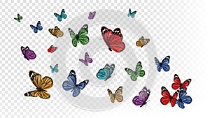 Flying butterflies. Colorful butterfly isolated on transparent background. Spring and summer insects vector illustration