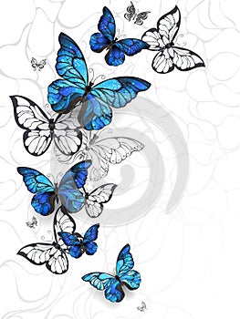 Flying butterflies morpho