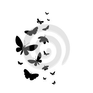 Flying butterflies silhouettes.