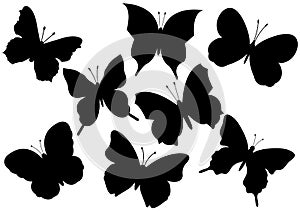 Flying butterflies vector illustration