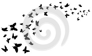 Flying butterfly. Black silhouette butterflies group. Cute wedding love, summer and spring symbol, tattoo graphic design