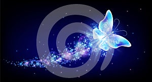 Flying butterfly with sparkle and blazing trail flying in night sky among shiny glowing stars in cosmic space. Animal protection