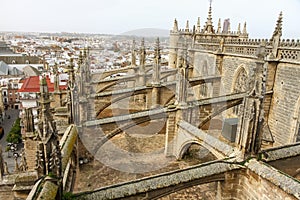The flying buttress from the roof of the cathedral of Sevilla, Spain during winter