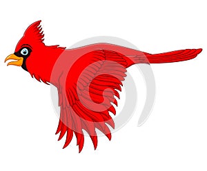 Flying cardinal bird