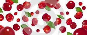 Flying cherry with green leaves isolated on a white background. Falling red berries pattern. Banner