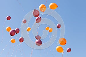 flying colorful balloons at sky. blue sky from happy people. Releasing balloons at party celebration