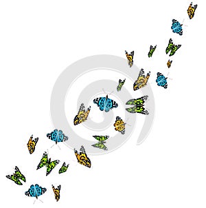 Flying colorful butterflies isolated on white background. 3D realistic beautiful butterflies. Biology. Beautiful