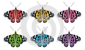 Flying colorful butterflies isolated on white background. 3D realistic beautiful butterflies. Biology. Vector