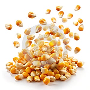Flying corn seeds