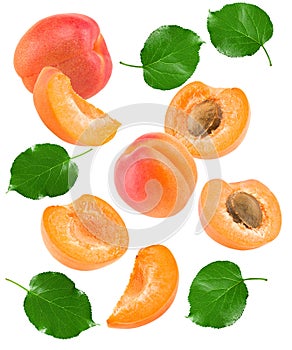 Flying cut of apricot fruit with green leaf isolated on white background. clipping path