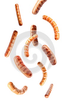 Flying delicious grilled sausages on background