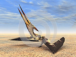 Flying Dinosaur Pteranodon