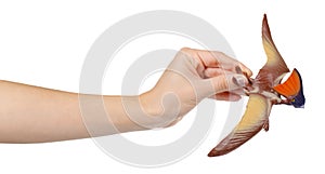 Flying dinosaur toy, rubber pterodactyl for game. Isolated on white