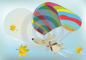 Flying dog with the parachute