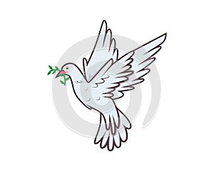 Flying Dove Carrying Green Twig Olive as Peace Symbolization