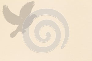 Flying dove feathers gray shadow overlay texture in light brown leather background mock up with text copy space