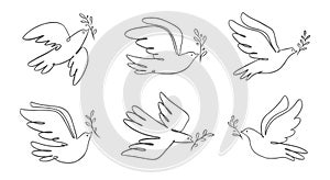 Flying dove with olive branch badge. Bird and twig symbol of peace and freedom. Pigeon icon in linear style