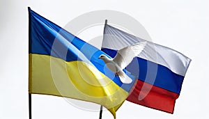 Flying dove of peace with national flag of ukraine and russia on white background