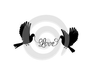 Flying dove silhouettes holding word love, vector