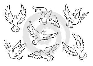 Flying dove sketch vector set