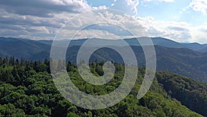 Flying drone above summer forest during summer