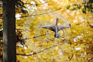 Flying drone in autumn yellow forest environment