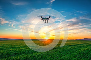 Flying drone and green wheat field