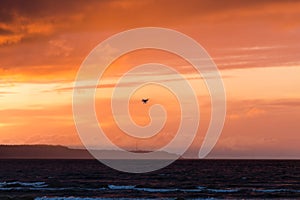 Flying drone over sea and cloud sky