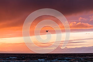 Flying drone over sea and cloud sky