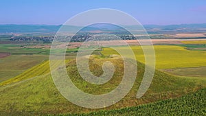 Flying drone in summer rural landscape, green hill and colored culture fields