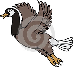 Flying Duck Cartoon Color Illustration