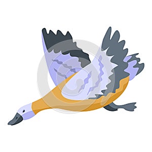 Flying duck icon, isometric style